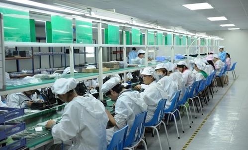 從賭場深淵到電子廠救贖 一個(gè)廣東靚仔的“生活真諦”
